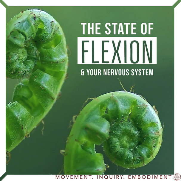 the state of flexion