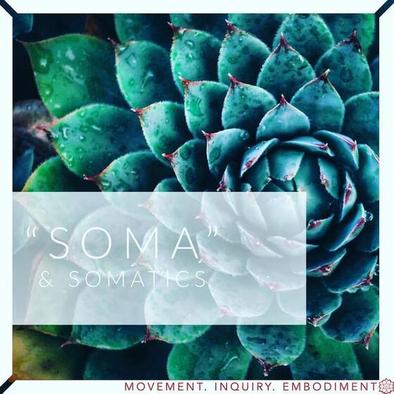 Soma, Somatics & Embodiment