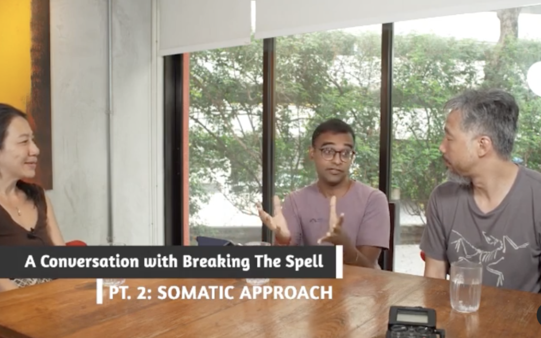Conversation with Breaking The Spell – Snippet 2