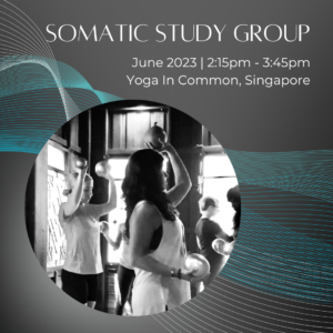 somatic study group